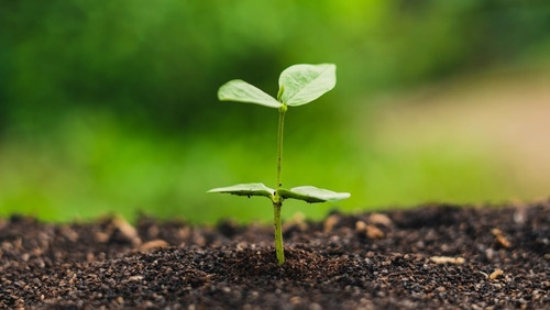 Laatste bedrijfsnieuws over Australië waarschuwt: misleidende 'composteerbaar' labels veroorzaken massale plasticvervuiling