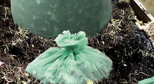 Laatste bedrijfsnieuws over Zijn composteerbare plastic zakken biologisch afbreekbaar? Mythes ontkrachten