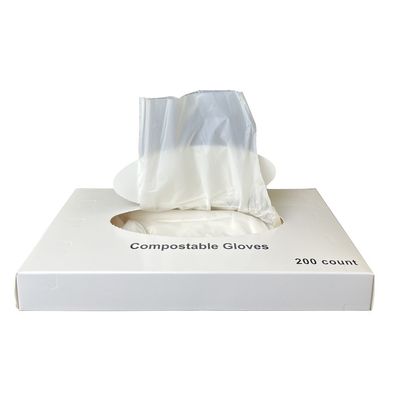 Goede prijs 100% composteerbare handschoenen, wegwerp- en latexvrije wegwerphandschoenen voor voedsel- en drankservice, handschoenen voor het bereiden en koken van voedsel, milieuvriendelijk. online